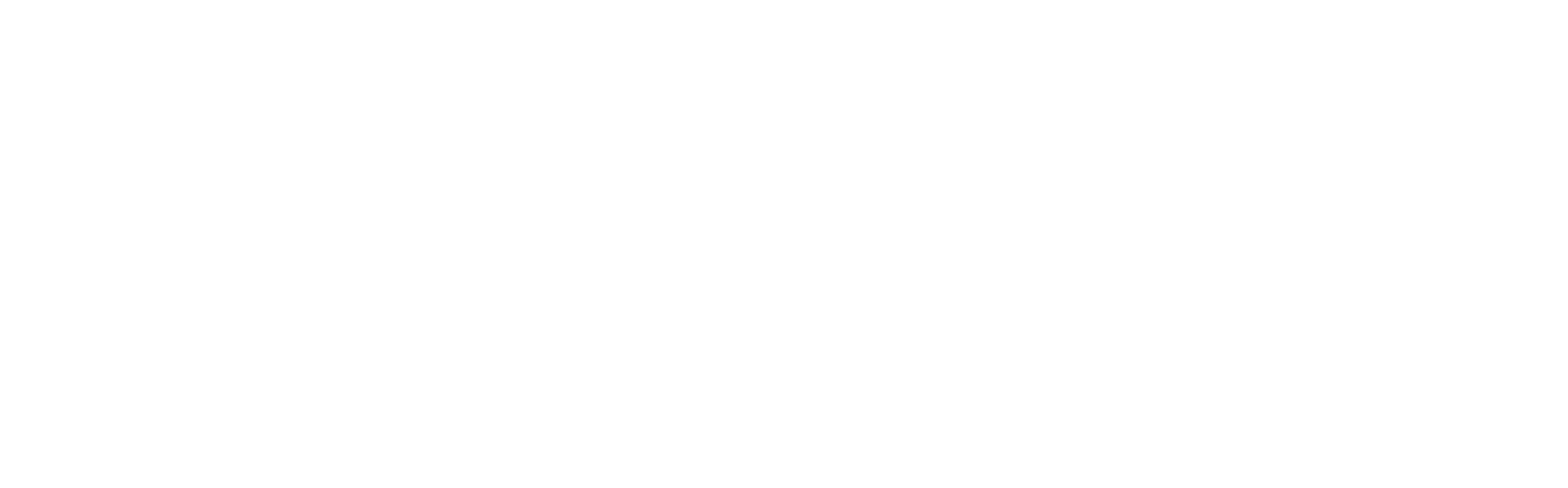 Stage Door Styles Logo